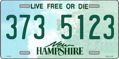 NH license plate 3735123
