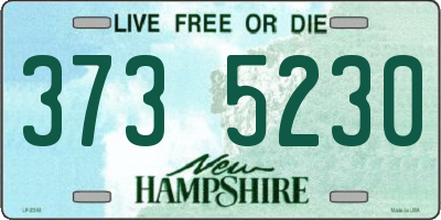 NH license plate 3735230