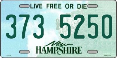NH license plate 3735250