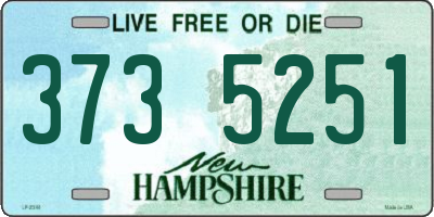 NH license plate 3735251