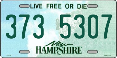 NH license plate 3735307
