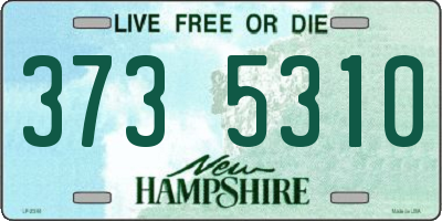 NH license plate 3735310