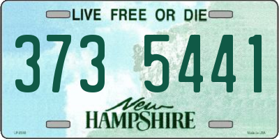 NH license plate 3735441