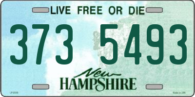 NH license plate 3735493