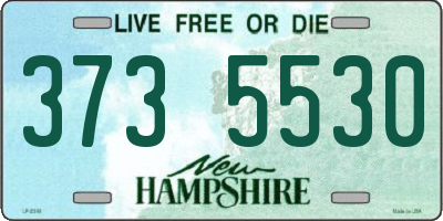 NH license plate 3735530