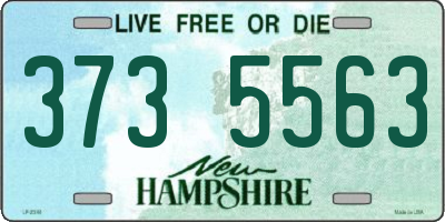 NH license plate 3735563