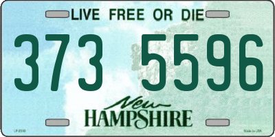 NH license plate 3735596