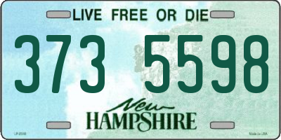 NH license plate 3735598