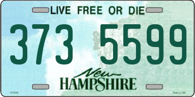 NH license plate 3735599