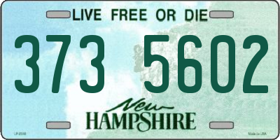 NH license plate 3735602