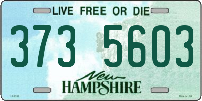 NH license plate 3735603