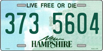 NH license plate 3735604