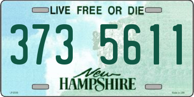 NH license plate 3735611