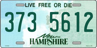 NH license plate 3735612