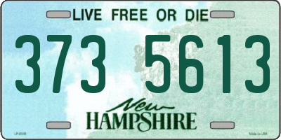 NH license plate 3735613