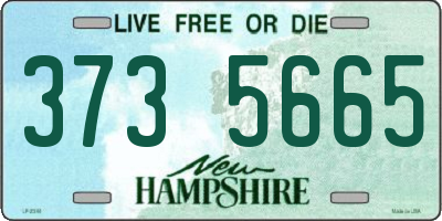 NH license plate 3735665