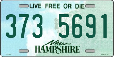 NH license plate 3735691