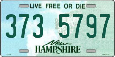 NH license plate 3735797