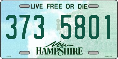NH license plate 3735801