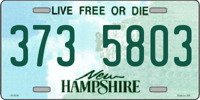 NH license plate 3735803