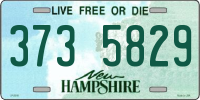 NH license plate 3735829