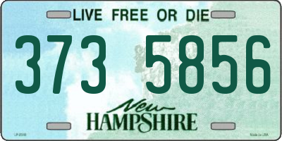 NH license plate 3735856