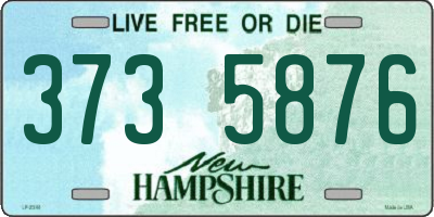 NH license plate 3735876