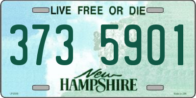 NH license plate 3735901
