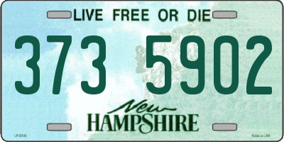 NH license plate 3735902