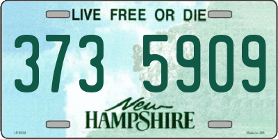 NH license plate 3735909