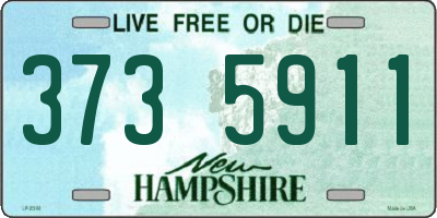 NH license plate 3735911