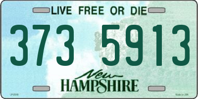 NH license plate 3735913