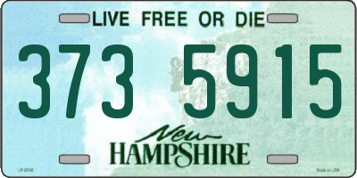 NH license plate 3735915
