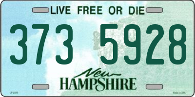 NH license plate 3735928