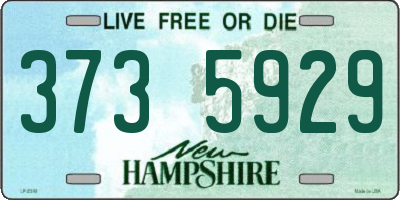 NH license plate 3735929
