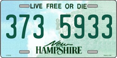 NH license plate 3735933