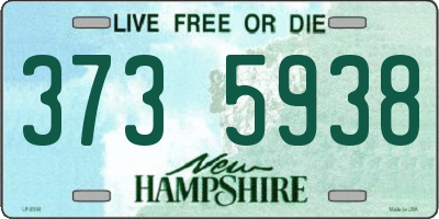 NH license plate 3735938