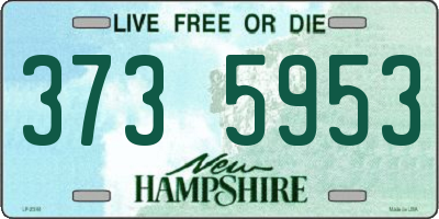 NH license plate 3735953