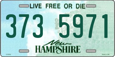 NH license plate 3735971