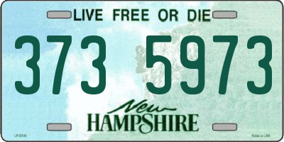 NH license plate 3735973