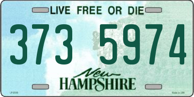 NH license plate 3735974