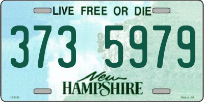 NH license plate 3735979