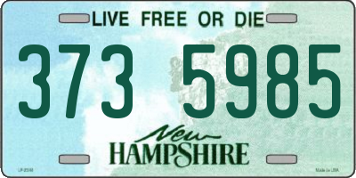 NH license plate 3735985