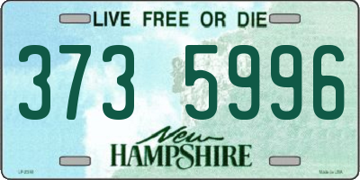 NH license plate 3735996