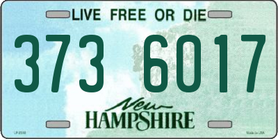 NH license plate 3736017