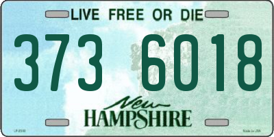 NH license plate 3736018