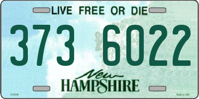 NH license plate 3736022