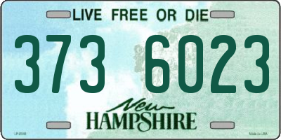 NH license plate 3736023