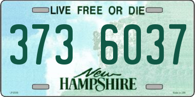NH license plate 3736037