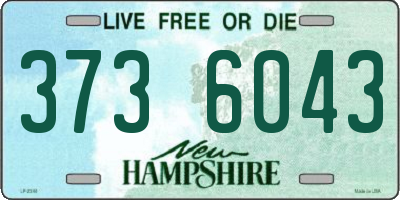 NH license plate 3736043